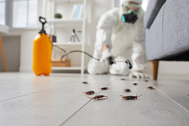 Post-Treatment Bed Bug Interceptor Monitoring in Hartford